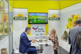 ��������� ��������� ����� � ��������-���������� �������� �������� ������������