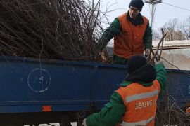 ����� ��������� �������