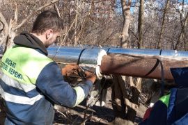 ������������ �������� �����