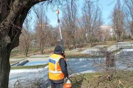 ������������ �������� ����� �����