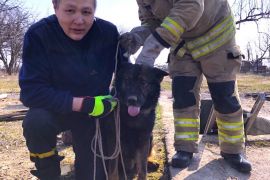 � ����������� ������ ������������ ��������� ������ — ����