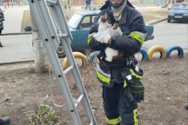 � ������泠���������������������� ������ — ����