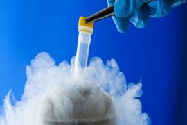 ��������� ������� ����� ��� ���������� �������������� ����� ���������