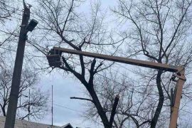 � ����������� ������ ������� ������ �����