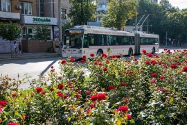 ��� ������ ������������ ���������� 24 �������