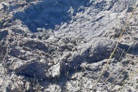 �������� �� ����������� �������� ������ �� 31 �������