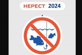 �� ������� � 1 ����� ������ ��������� �������� �� ����� ����