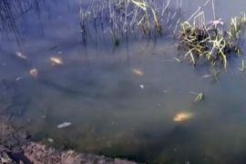 �������� �������� ������� ����� 170 ������� ������ ������