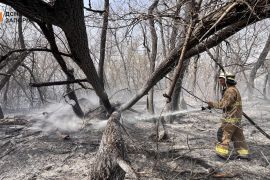 � �������� ���� ������ � ������� ����� ������ — ����