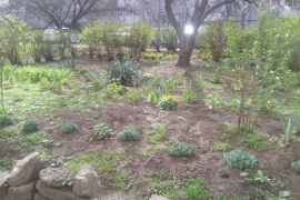 ̳����� ���������� ����� �� ���������� ����