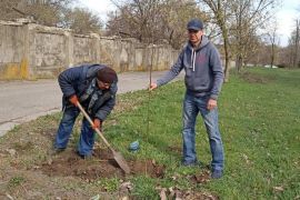 �������� �������� ����� ����