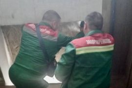 ������������ �������� ����� ����