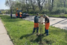 ��� ����� ��������� ����������� �� ������