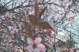 � ������� ����������� 10 ���������� �������������� � ������ �������� ������ 1972 ����