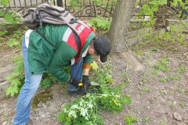 ������������ � ������ ������ ��������� ���� �� ����