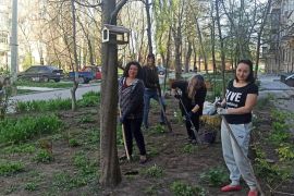 ������� ������ ����� ��� ����� ��������