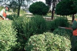 �������� ������� ������ � �����������