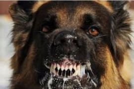 �� ������� �������� ������� ������� ����� �� �����