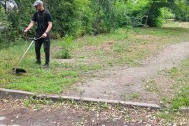 � ������� ���� �������� ������ � �����������