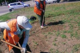 ������������ ���������� ����� �� ������