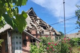 �� ���� ������ ������� 446 ����� �� 8 ����� �� ����� ��������� ������