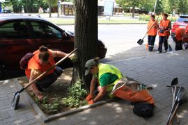 � ���������������� ������ �������� ������ � �����������