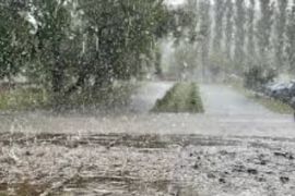 � ������� �� ����� ����� ������������ ��� � �������