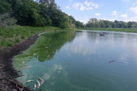 � ������ �� ������� ������� ����� ����