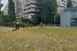 ����� �������� � ������������ ���������