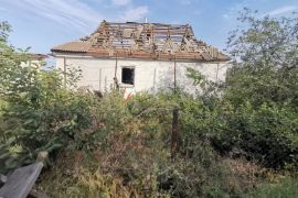 �������� ����������� 3 ������ ���� ��������� ��� ����� ����� �� ��������