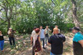 � ����������� ������ ������������� ������������� ��������