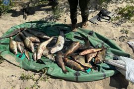 � ������� ��������� ��������� ���� ������ ����������