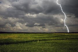 ������� ������ �������� ���� �� �����: ��� ������ � �������