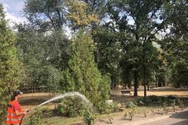 ������������ ������ ��� ���������� ����