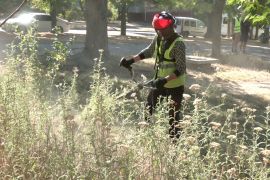 � ������������� ������ ��������� ��� �����