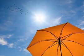 ����������� ���� ����� �����: ��� ������ ���� � �������