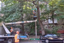 ������������ �������� ������� ���������