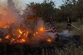 ������������� ����� ����� ������ ������ �� �������. ����