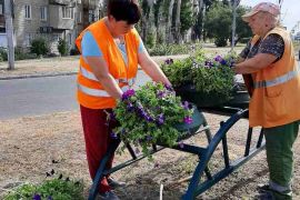 � �������������� ������ ���������� ������ �� �������� ����