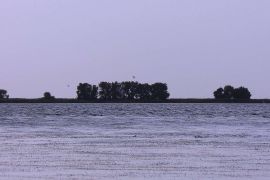 ϳ��� ����� ���������� ��������� ������ ����� ������ ������ ���������� �� ���� ���