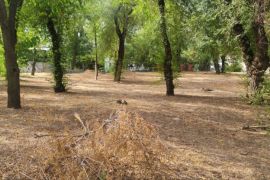 ���� ������������ ����� �������� �������� ����� �����