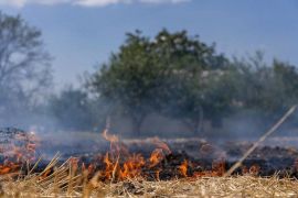 ����� �� ��������: �������� ������, � ��������, ���������� �� �����