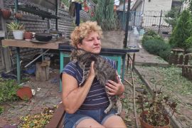 ������ ������� ���������� ������� ���������� ������� ��������. ����