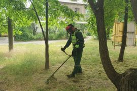 � ���������������� ������ ����� ���� �����