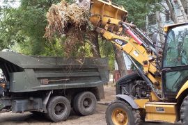 ˳�������� ���-������� �� ������ �����������