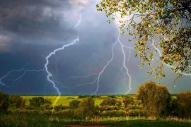 � ������� �������� ������������: ��������� �����