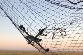 �� ����������� �������� ������������� ���������� 12 ������� ������