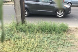 � ������� ����������� ��������: ���������