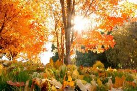 �������� ��� � ������ ���� �� ����: �������