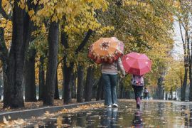 ������ �������� ���� �� �����: ��� ������ ���� � �������